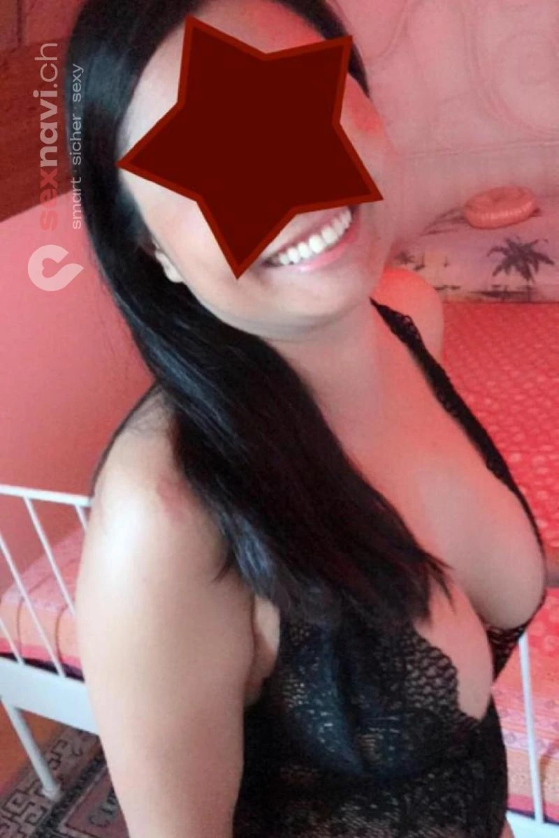 PIM ❌ Thai Schmusekatze ❌ Bern Stadt, Biel/Bienne, Schweiz, Biel/Bienne - Grenchen, Solothurn