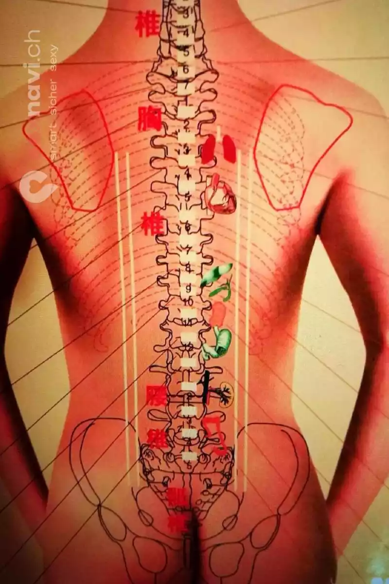 JASMIN MASSAGE Professionelle Masseurin Zürich Umgebung, Basel, Basel, Schweiz, Solothurn