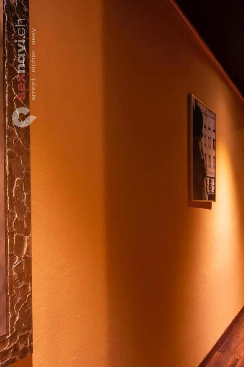 Privat Studio ❌ 2000-5000 CHF / Woche ❌ Luzern, Schweiz, Luzern