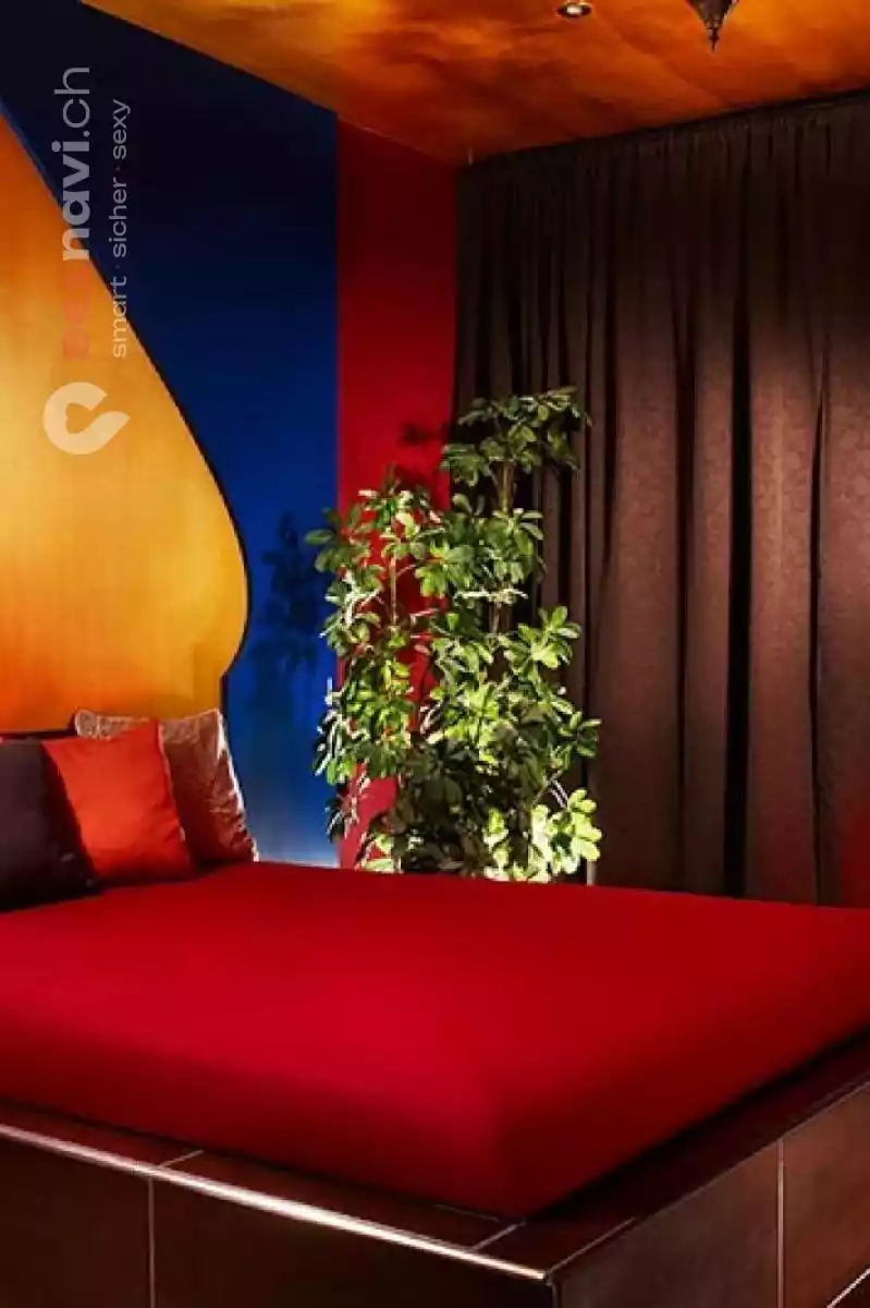 SEX PARK CLUB NO 1 MITTELLAND Zürich Stadt, Aargau, Schweiz, Solothurn, Oberentfelden