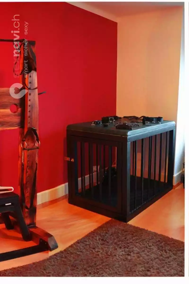 Girls mit Klasse ⭐ Guter Verdienst ⭐ Österreich, Schweiz, Luzern , Eschenbach LU