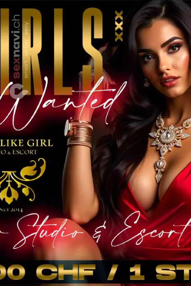 Winterthur / Zürich Prozent % Täglich auszahlung Zürich Umgebung, Winterthur, Deutschland, Schweiz