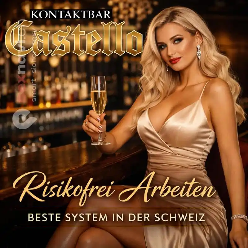 Risikofreie Arbeit Grosse Stammkundschaft Schweiz, Luzern , Brunnen, Schwyz