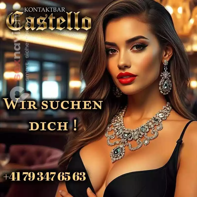 Risikofreie Arbeit Grosse Stammkundschaft Schweiz, Luzern , Brunnen, Schwyz