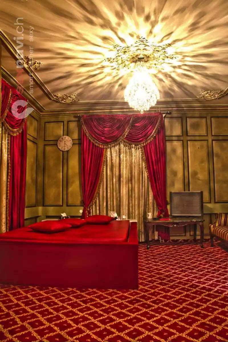 Top Job in der Villa 🌟 Gutes Geld verdienen 🌟 Zürich Umgebung, Schweiz, Wetzikon ZH