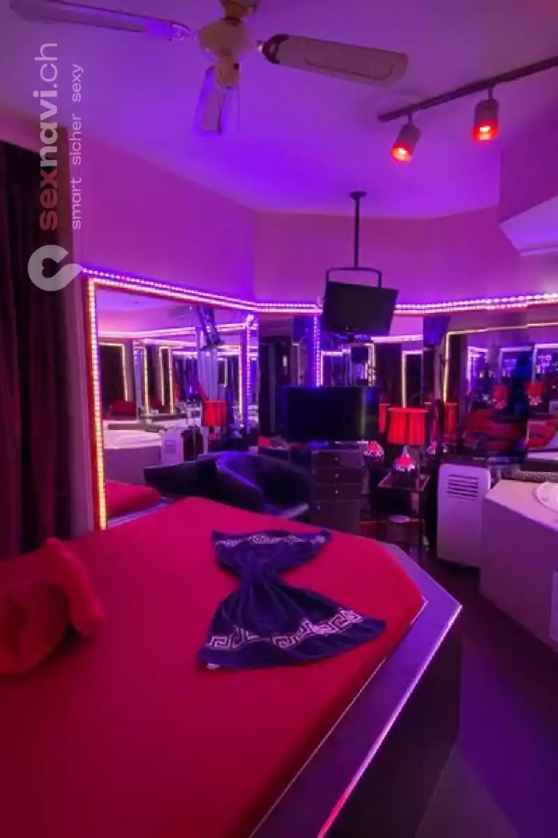 Great Job Offer 👑 Friendly enviroment👑 Zürich Umgebung, Zürich, Zürich Stadt, Aargau, Schweiz