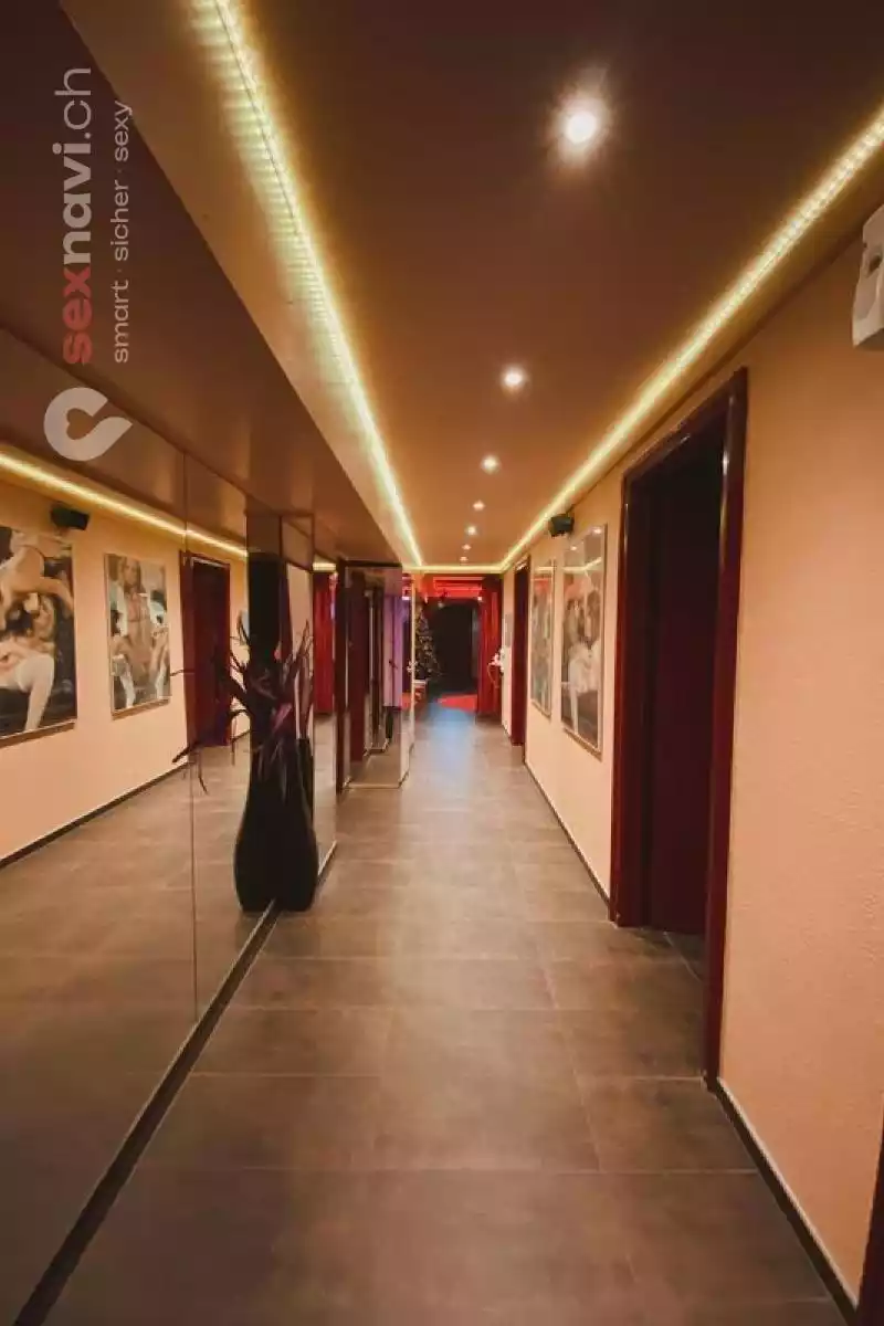 Gran Trabajo 🚨 Ambiente amigable🚨 Zürich Umgebung, Zürich, Zürich Stadt, Aargau, Schweiz